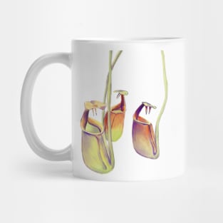 Nepenthes bicalcarata | carnivorous plant | pitcher plant Mug